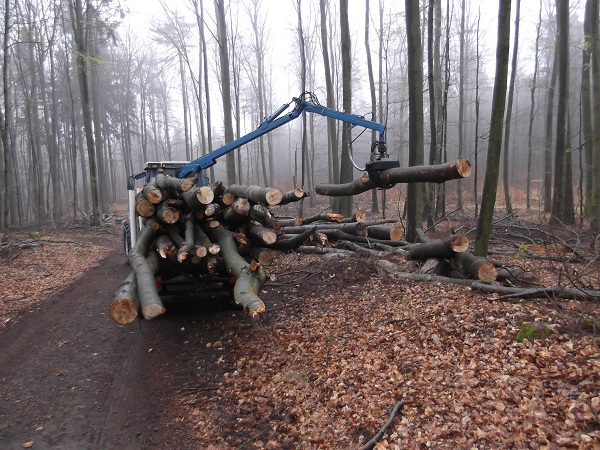 Holzabfuhr 2012 Teil 2 002.JPG