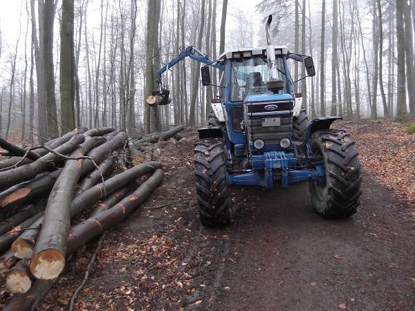 Holzabfuhr 2012 Teil 2 001.JPG