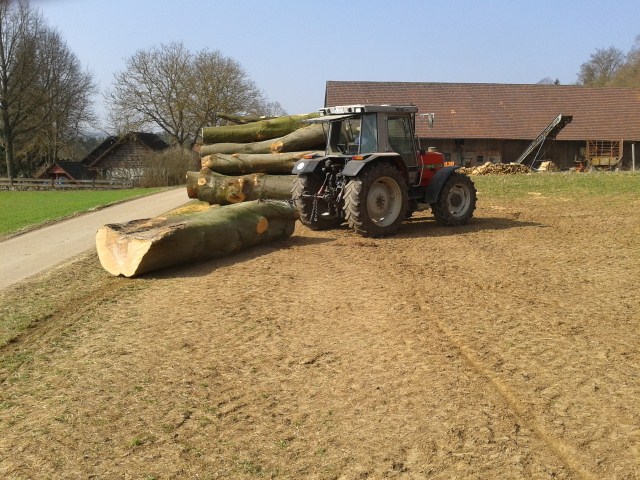 2012-03-23 10.44.57 (640x480).jpg