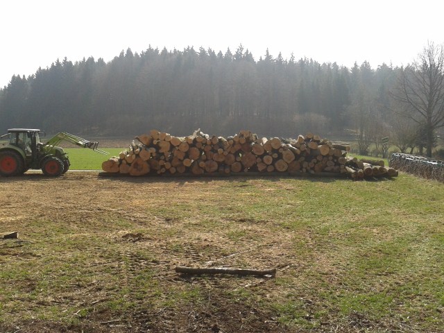 2012-03-23 12.07.08 (640x480).jpg