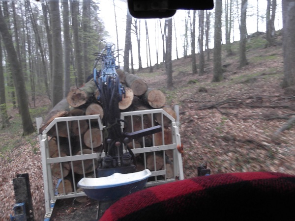 Holzabfuhr Teil 3 024.JPG