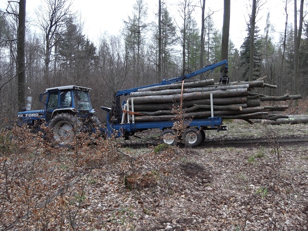 Holzabfuhr Teil 3 023.JPG