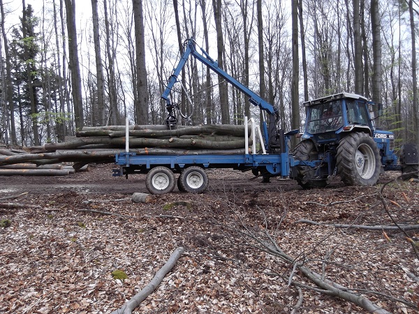 Holzabfuhr Teil 3 020.JPG