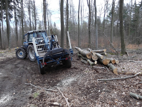 Holzabfuhr Teil 3 017.JPG