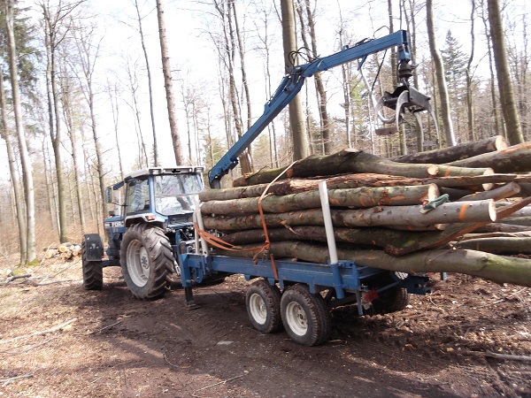 Holzabfuhr Teil 3 016.JPG