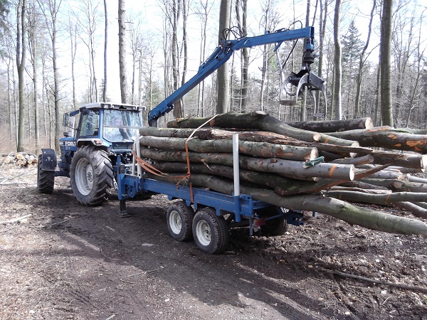 Holzabfuhr Teil 3 015.JPG