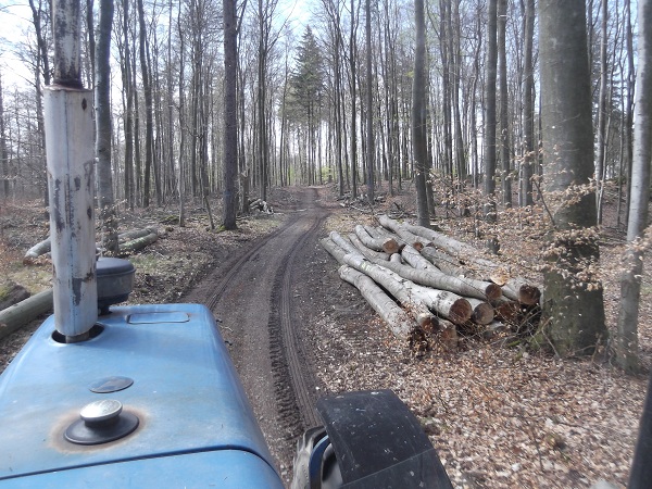 Holzabfuhr Teil 3 011.JPG