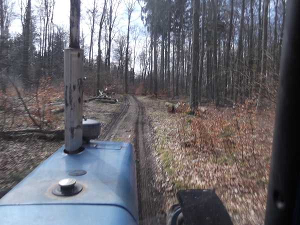 Holzabfuhr Teil 3 009.JPG