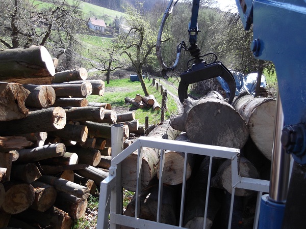 Holzabfuhr Teil 3 005.JPG