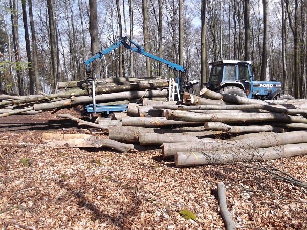 Holzabfuhr Teil 3 003.JPG