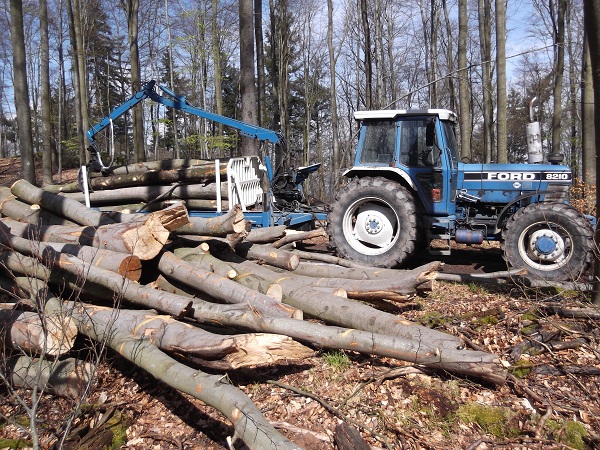 Holzabfuhr Teil 3 002.JPG