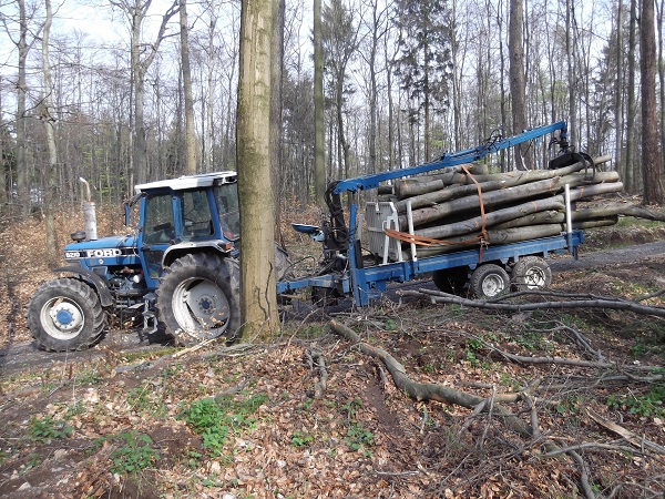 Holzabfuhr 2012 Teil 4 012.JPG