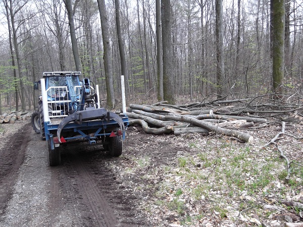 Holzabfuhr 2012 Teil 4 010.JPG