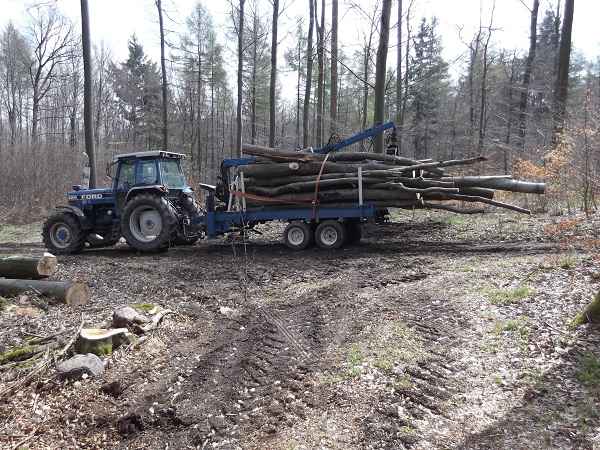 Holzabfuhr 2012 Teil 4 007.JPG