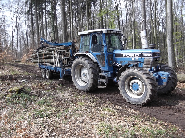 Holzabfuhr 2012 Teil 4 006.JPG