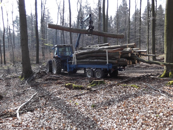 Holzabfuhr 2012 Teil 4 004.JPG