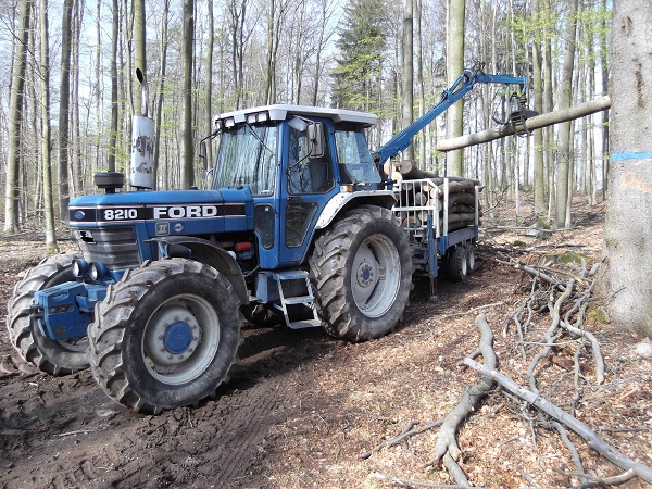 Holzabfuhr 2012 Teil 4 003.JPG