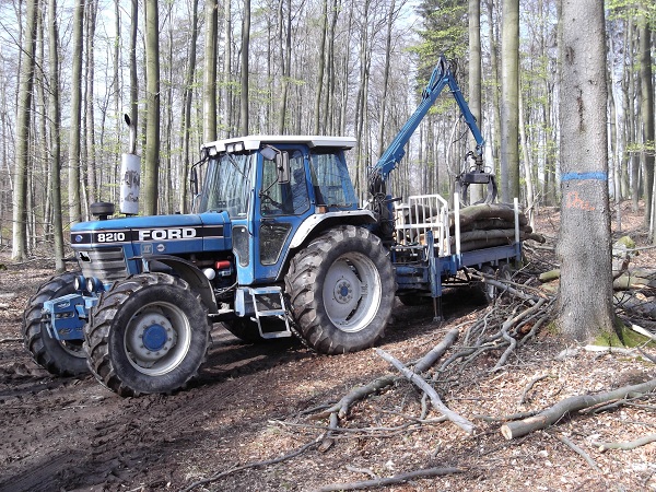 Holzabfuhr 2012 Teil 4 002.JPG