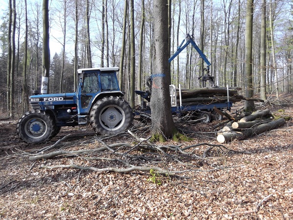 Holzabfuhr 2012 Teil 4 001.JPG