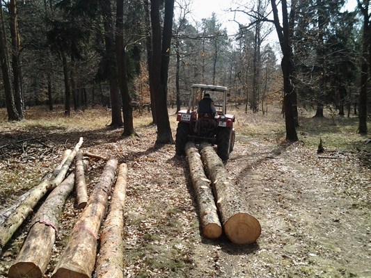 2012-04-10 12.28.06.jpg