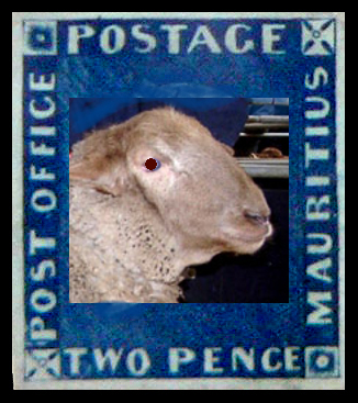 fassis_briefmarkensammlung.jpg