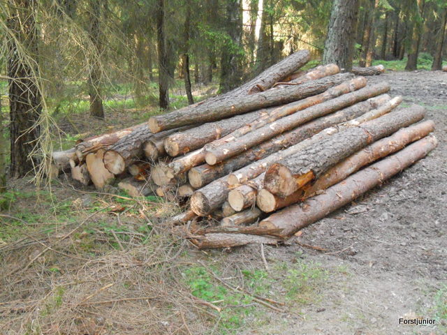 Brennholz 005.JPG