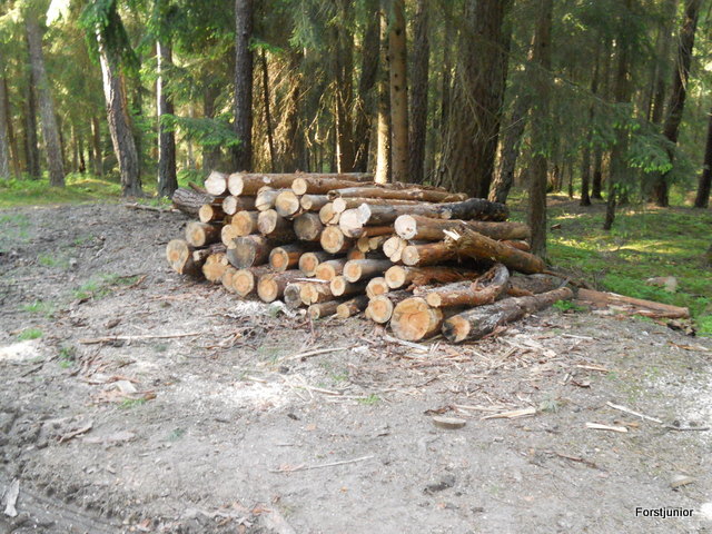 Brennholz 002.JPG