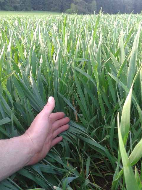 2012-05-10 19.14.51.jpgbear.jpg