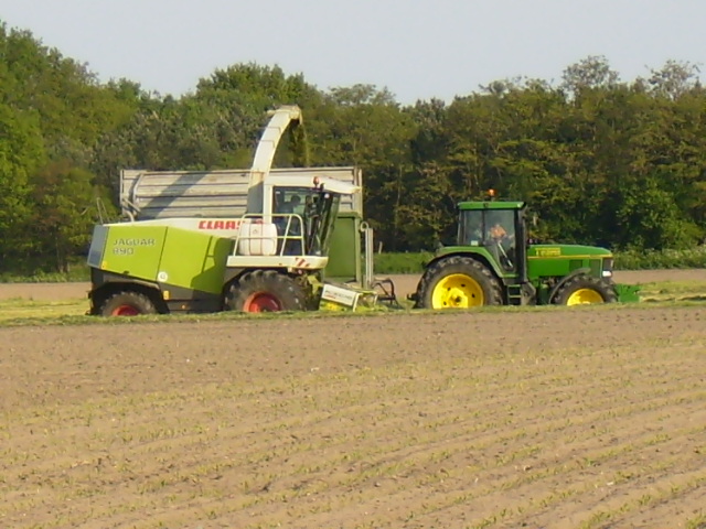 P4270081.JPG