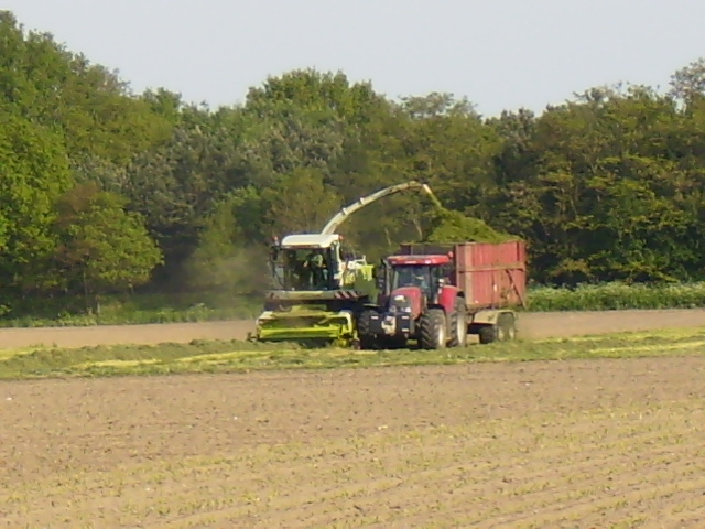 P4270071.JPG