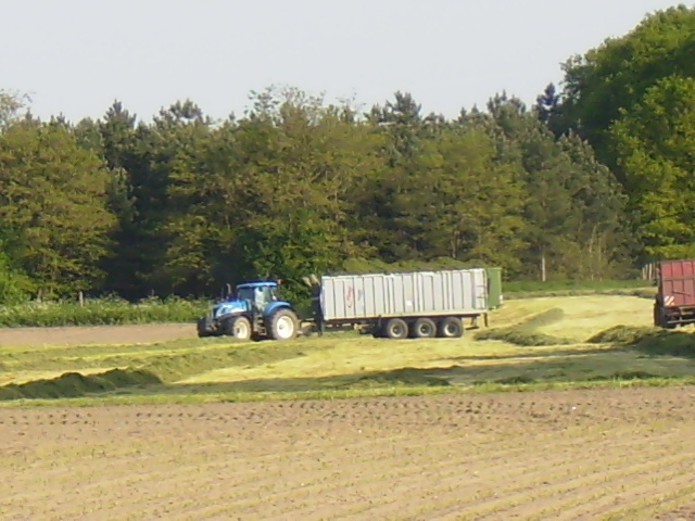 P4270067.JPG