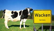 wackenkuh2_v-einspaltig.jpg