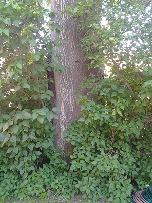 2012-06-15 13.49.54.jpg