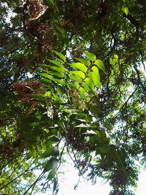 2012-06-15 13.50.05.jpg