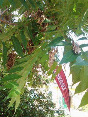 2012-06-15 13.50.26.jpg