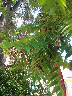 2012-06-15 13.50.32.jpg