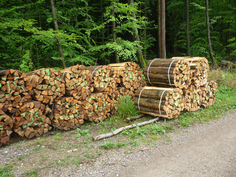 Bündel 30_6_1.jpg