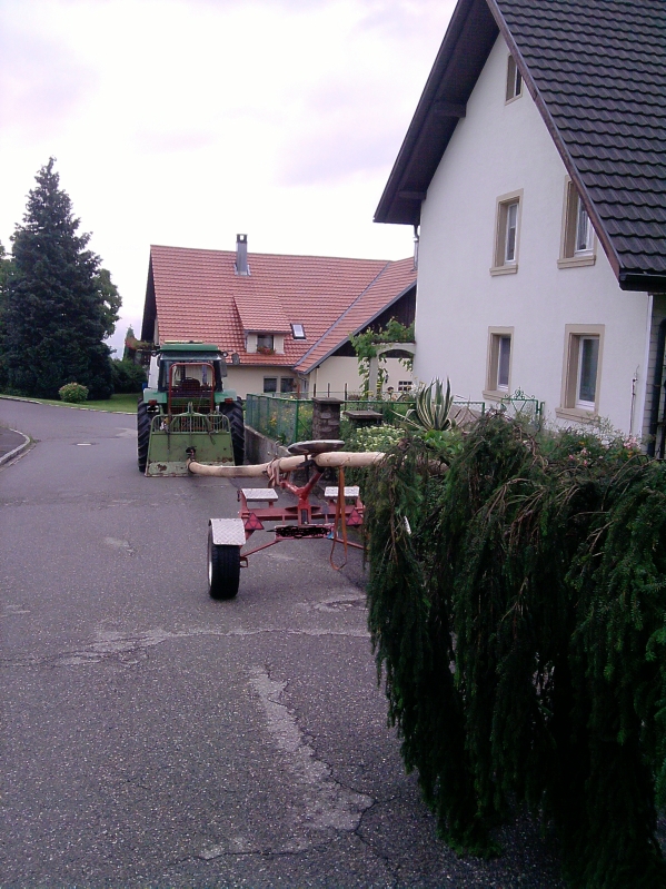 19m langer Baum auf Nachläufer2.jpg