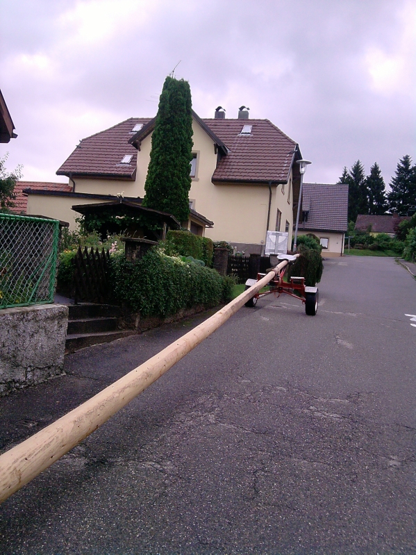 19m langer Baum auf Nachläufer.jpg