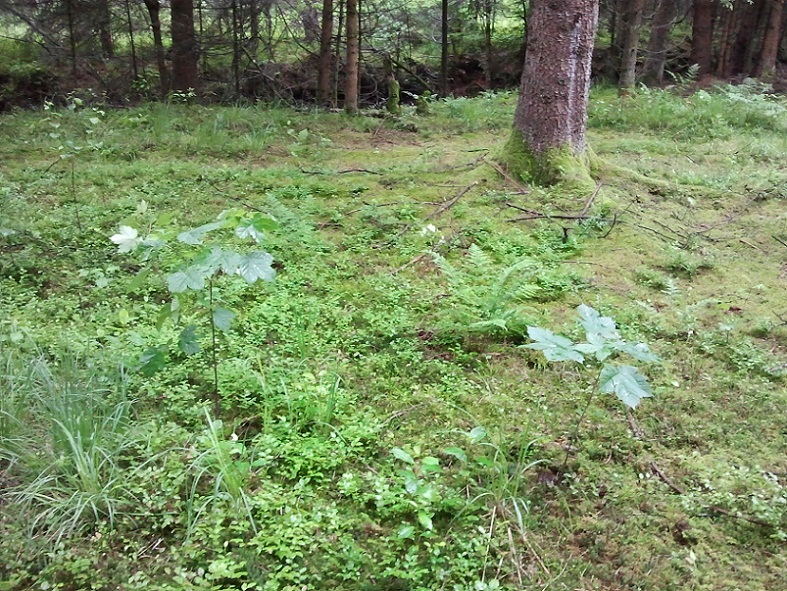 2012-06-09 10.05.46.jpg