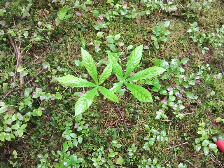 2012-06-09 10.05.52.jpg