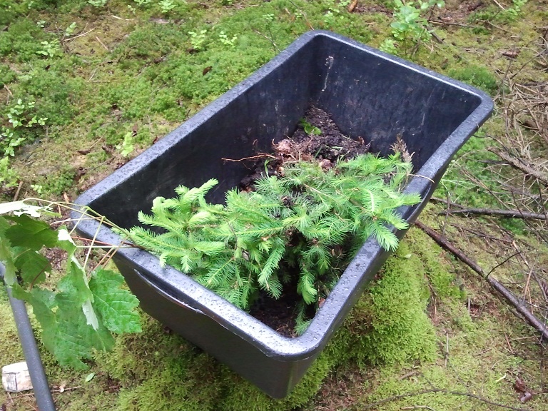 2012-06-09 10.06.16.jpg