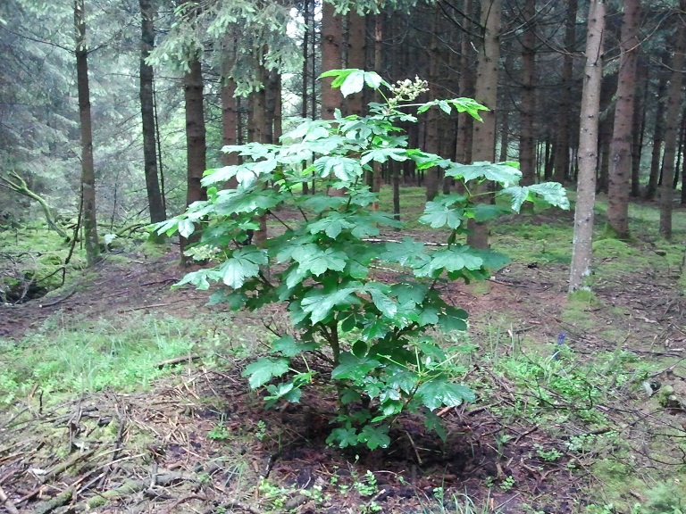 2012-06-09 10.25.02.jpg