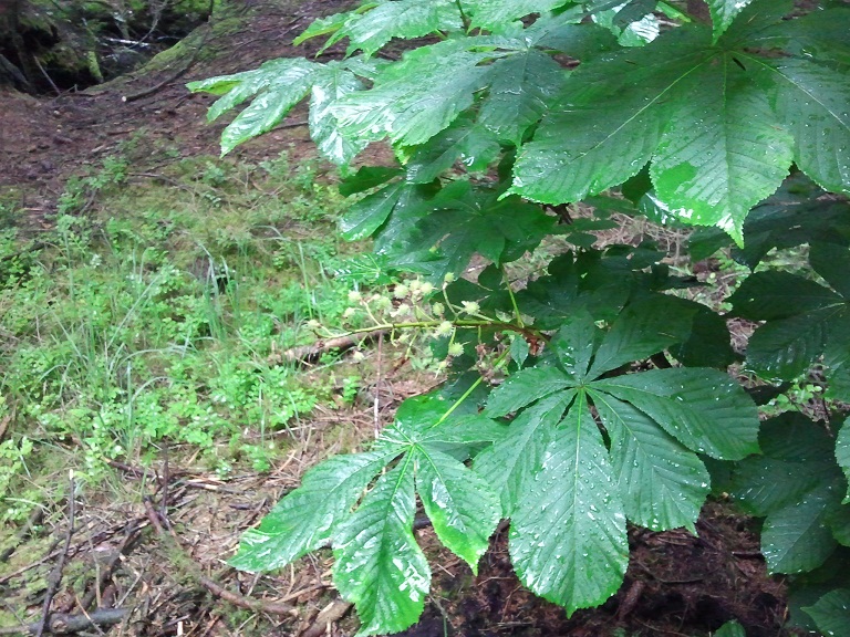 2012-06-09 10.25.10.jpg