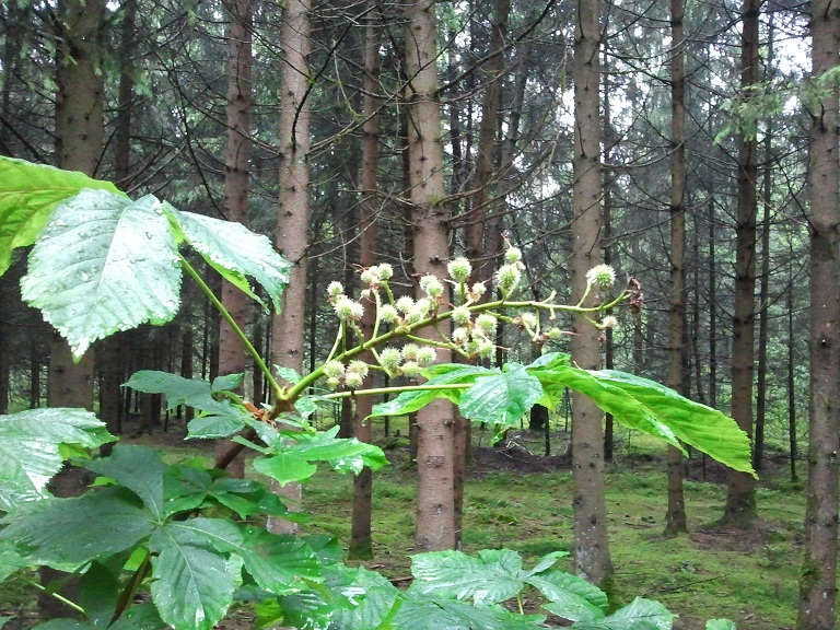 2012-06-09 10.25.14.jpg