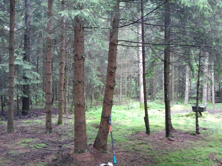 2012-06-09 10.30.11.jpg