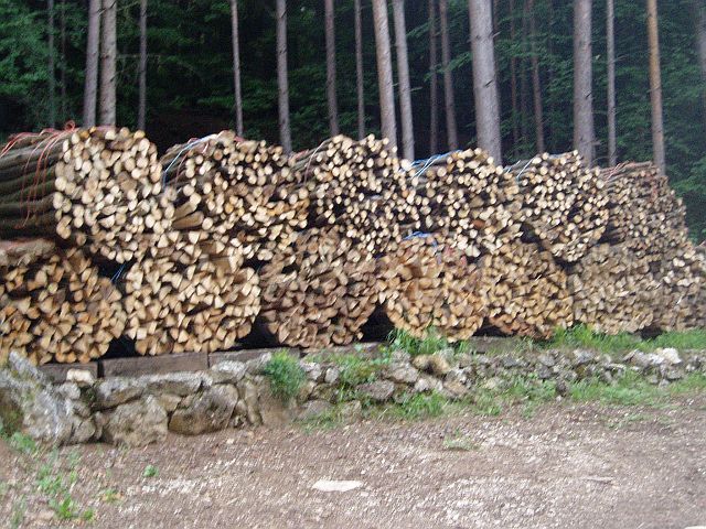 Hartholzbündel.jpg