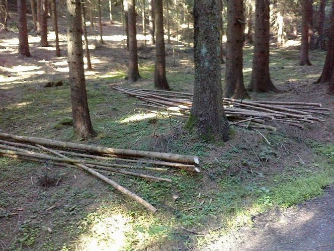 Stangen Juli 003.jpg