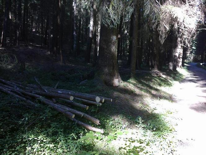 Stangen Juli 001.jpg