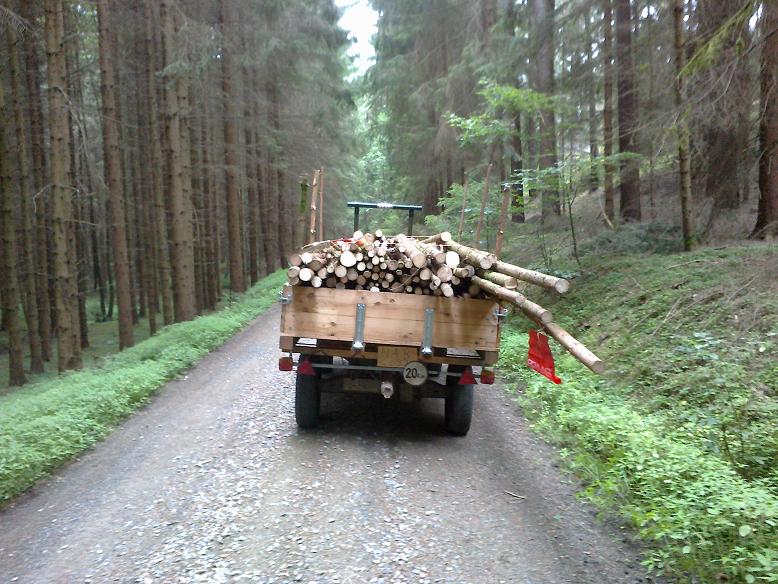 Stangen Juli 009.jpg